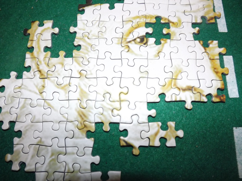 Close-up of pieces from the puzzle.